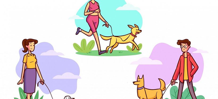 Владельцы собак просят администрацию определить место для выгула, чтобы не раздражать прохожих