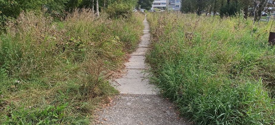 Аллейка от Комсомольской до Ватутина поросла бурьяном. А когда-то тут бурлила жизнь