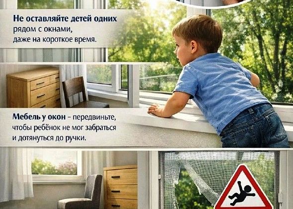 Сотрудники североуральской полиции предупреждают: не полагайтесь на москитную сетку!