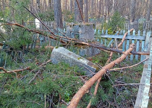 На старом кладбище попадали сосны, памятники и оградки раздавило. Волонтеров бы привлечь