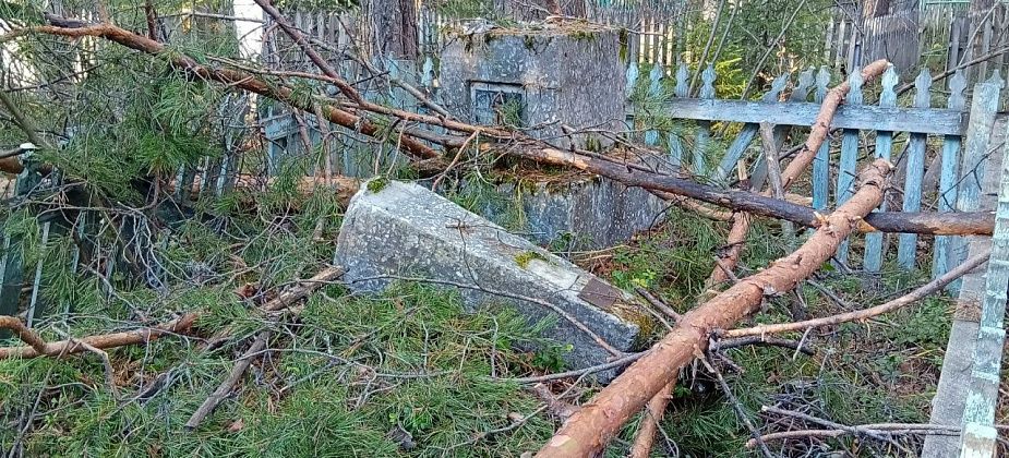 На старом кладбище попадали сосны, памятники и оградки раздавило. Волонтеров бы привлечь
