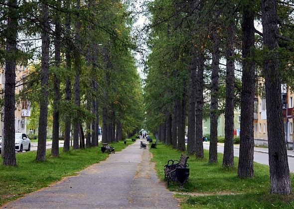 Через несколько дней закончится голосование за территории для благоустройства в Североуральске