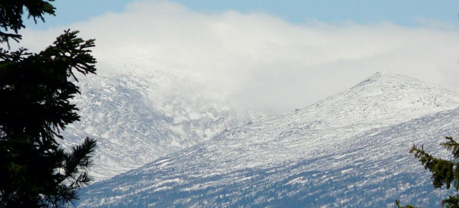 Константин Возьмитель: Зима осторожно подкралась