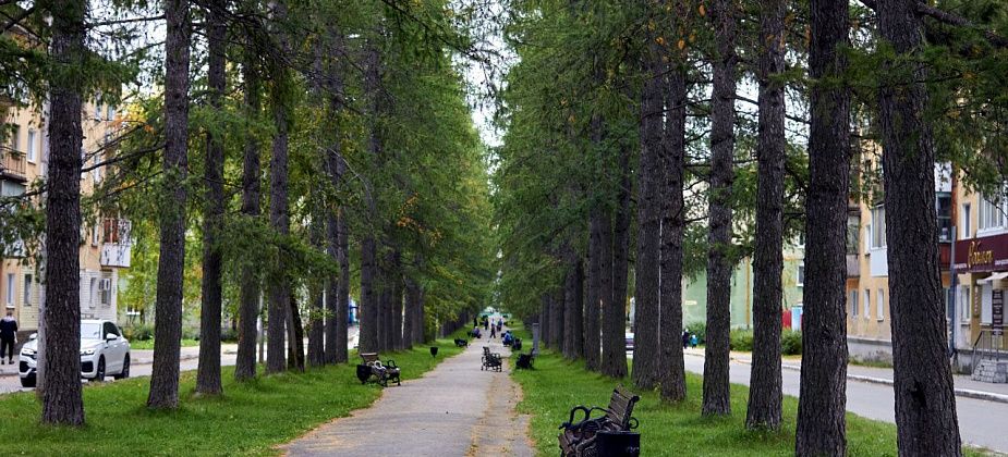 31 протокол об административных правонарушениях за неделю. Обошлось без краж и побоев