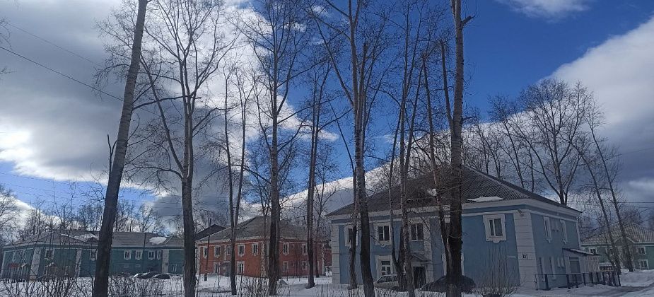 Аварийные тополя на Молодежной не пилят. Денег нет, работать некому
