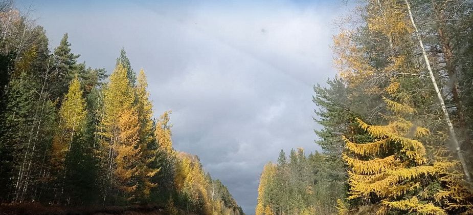 В ближайшие три дня потеплеет, затем начнется снег с дождем. Не пора ли менять резину на авто?