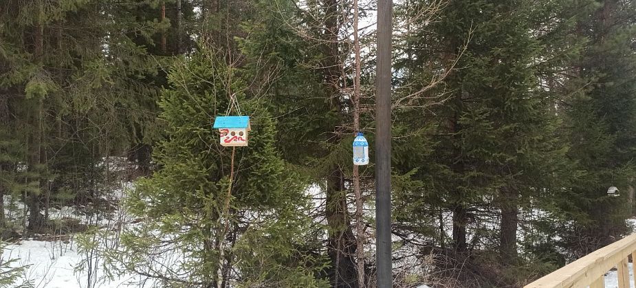 Совет ветеранов проводит конкурс на лучший скворечник для Тропы здоровья