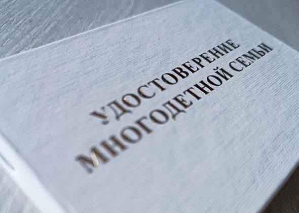 Жителей Североуральска отметили знаками «Совет да любовь» и «Материнская доблесть»
