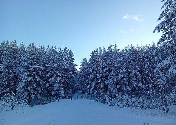 Услугами проката на “Горняке” за январские выходные воспользовались 2870 человек