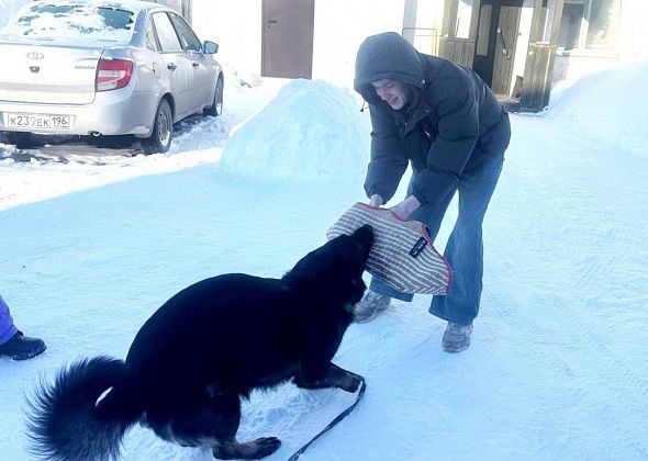 Будь в форме: экскурсия в отдел полиции для студентов Североуральского политехникума