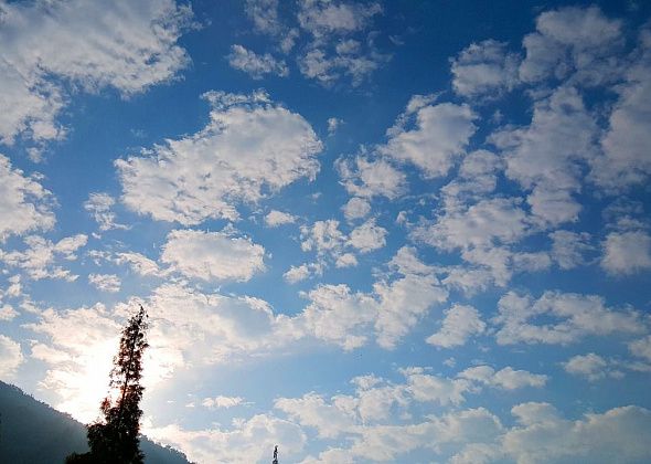 На севере Свердловской области ненадолго ожидается потепление и солнечная погода