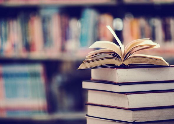 Библиотеки в январские праздники работали. В планах - ремонт и участие в конкурсе грантов