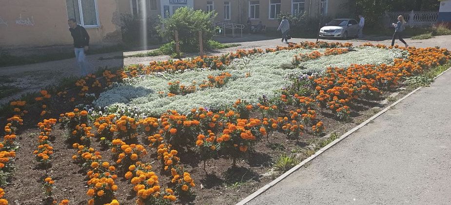 График работы ЦГБ с 1 по 6 ноября