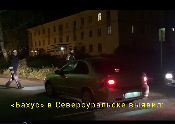 Операция "Бахус" в Североуральске - выявлено двое бесправных и один нетрезвый водители