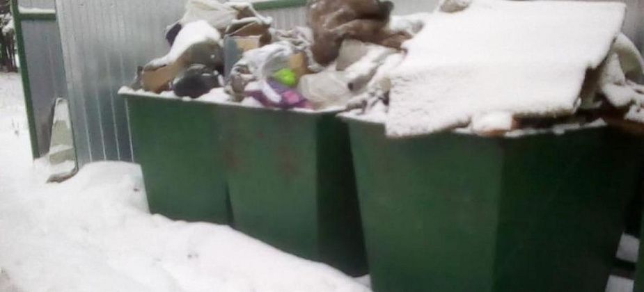 “Рифей” прокомментировал фото кальинца Валерия Костина “Мусорный апокалипсис” и пояснил, чем занимается компания