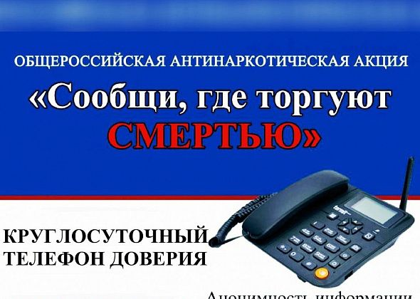 В Североуральске стартовала акция «Сообщи, где торгуют смертью»