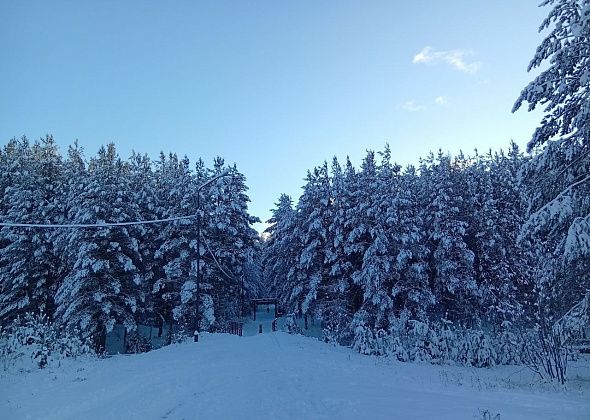 В феврале в Североуральске – шахматный турнир, Лыжня России, первенство по плаванию