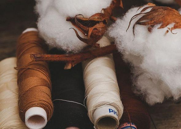 Музей приглашает на мастер-классы по валянию из шерсти и росписи шоппера