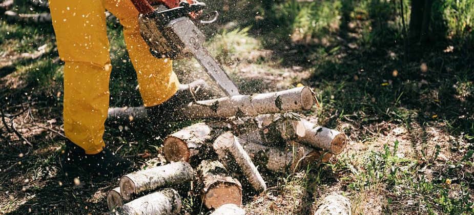 Есть работа! Актуальные вакансии на 9 августа