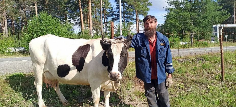 Марта, Мурка, Каруселька… Забойщик и депутат рассказал, как решил обзавестись хозяйством