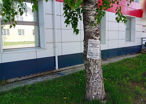 Рекламные листовки о распродаже лепят скотчем на столбы и деревья. Вас бесит?