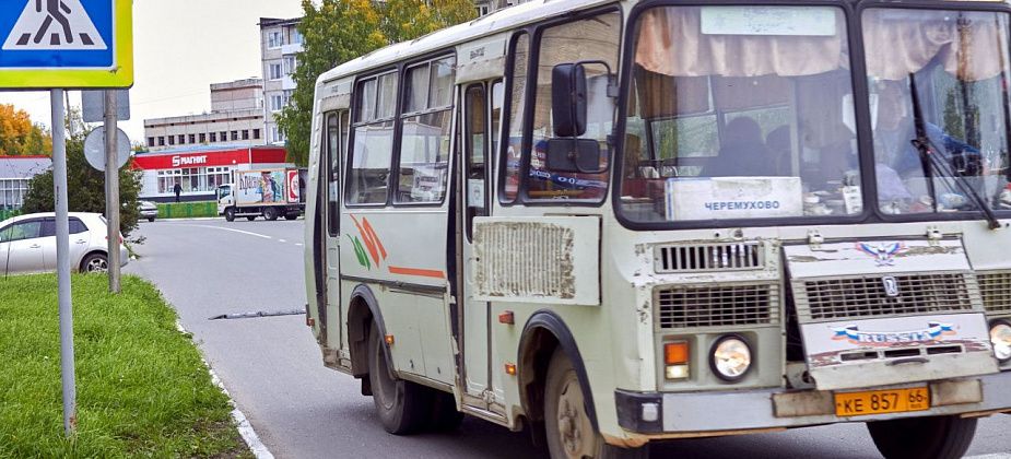 Депутаты о нарушении автобусами графика: «Будем продолжать работать с тем, что имеем»