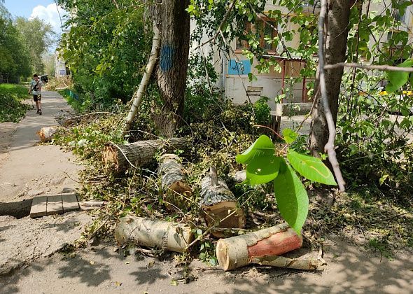 Начали убирать спиленные деревья, которые мешают пешеходам в Североуральске