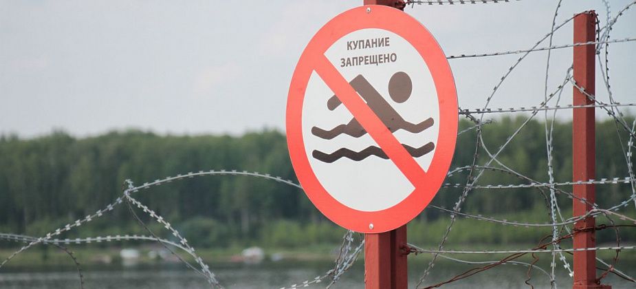 Приметы на 21 июля. Собираем чернику, не купаемся