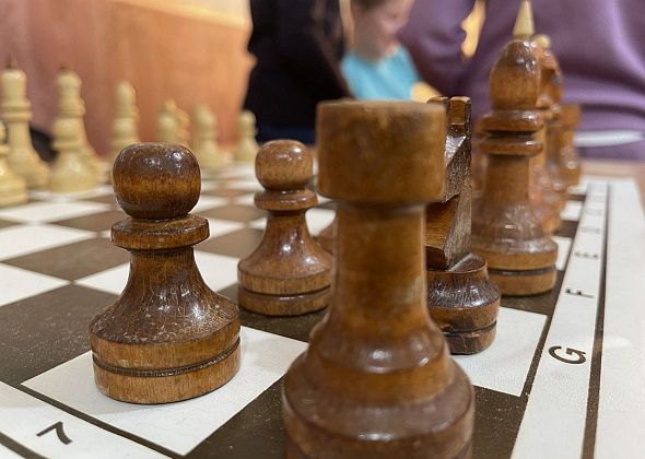 В честь Дня молодежи проведут шахматный турнир