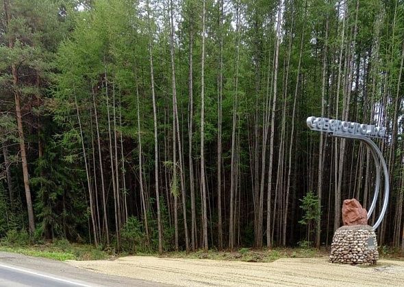 Центр занятости в 2025 году обучил 49 безработных 