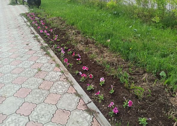 Баба Нюра: “Позор, Аллею Славы не можем содержать в порядке”