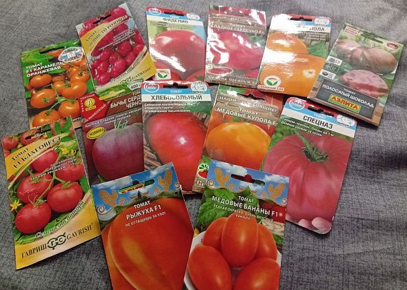 Про перцы, не требующие формирования, “нецветушную” капусту, правильный посев томатов