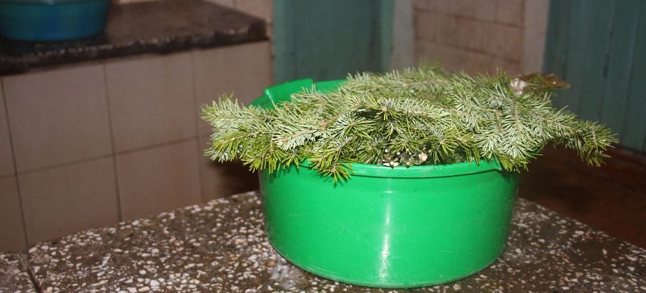 Жительница Североуральска - в Международный банный день: "Было бы прекрасно, если бы была баня"
