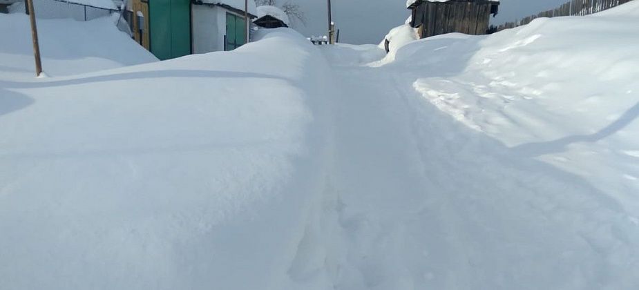 Бровку в частном секторе дорожники чистить не должны. Но старикам и инвалидам помогут