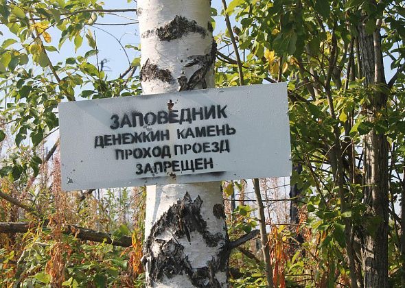 В Североуральском округе и заповеднике «Денежкин Камень» введен особый противопожарный режим