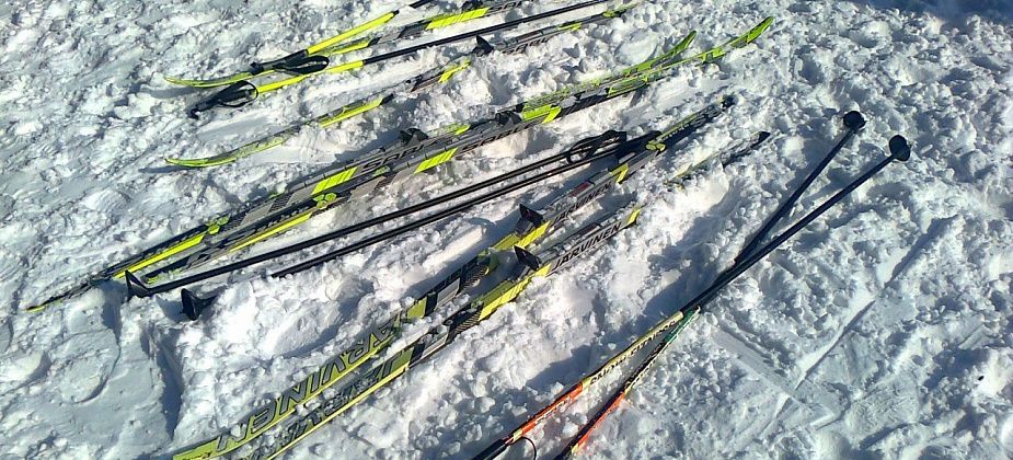 Спортивный праздник “День снега” вероятно будет в феврале или в марте. Так сказала Светлана Миронова