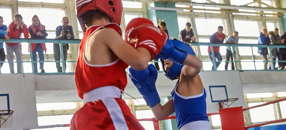 Завтра в Североуральске пройдет матчевая встреча по боксу памяти Владимира Барыкина