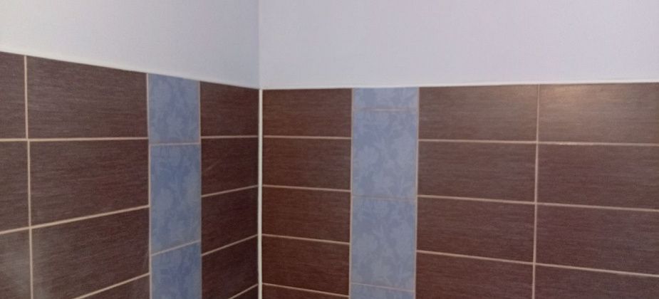 Блог. Алла Брославская: “Продали гараж, отремонтировали ванную”