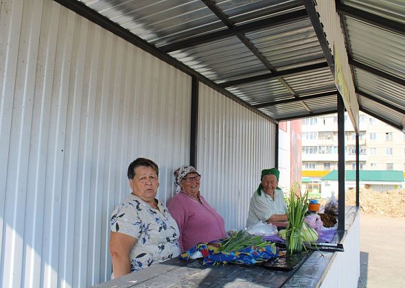 “Фазенда” в Североуральске - лучок по 50, чеснок по 20, картошка болеет, клубника гниет