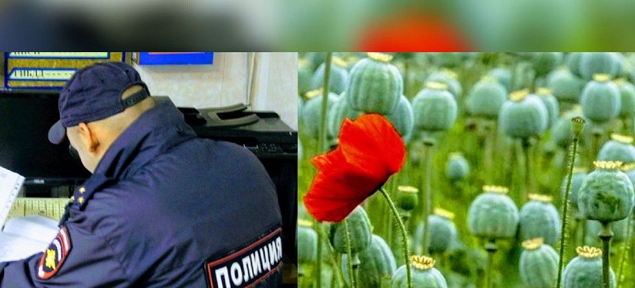 В Североуральске стартовала операция “Мак”