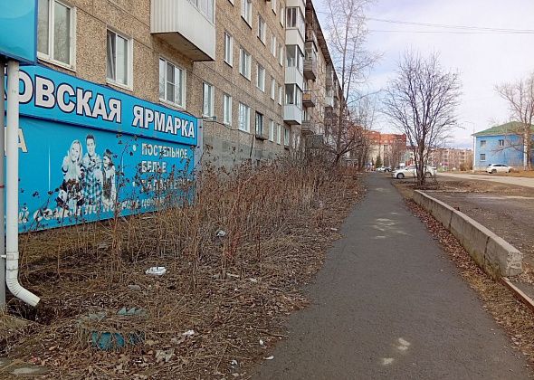 За вынос веток и листьев в контейнер - штраф! То же - со строительными отходами