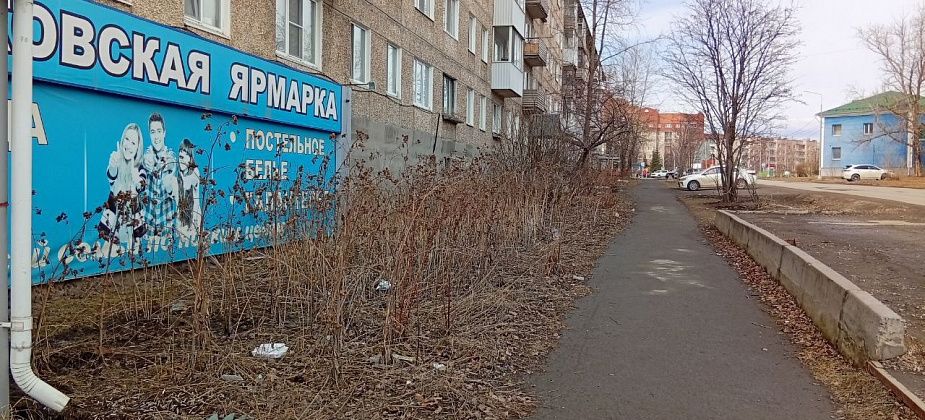 За вынос веток и листьев в контейнер - штраф! То же - со строительными отходами