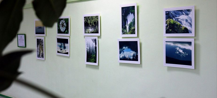 В музее открылась фотовыставка Константина Возьмителя “Не камнем единым”. До 24 октября пустят без QR-кода
