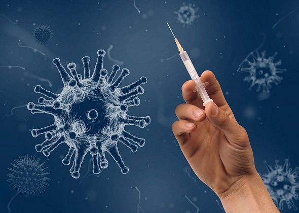 Хроника коронавируса: 66 умерших, город ждет морозильные камеры для вакцины