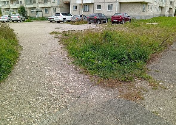 608 тысяч рублей — на скос травы в городе