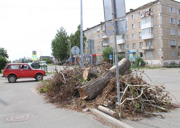 Громоздкий тополь на Ленина лежит, преет, не вывозят месяц. Прямая линия не впрок?
