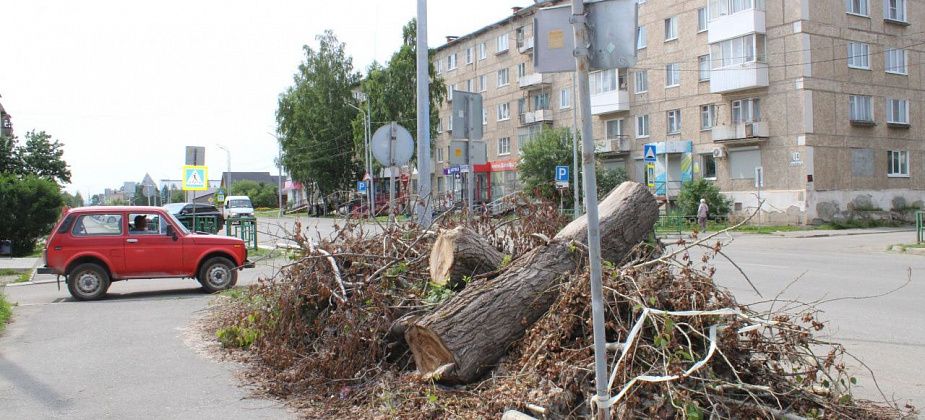 Громоздкий тополь на Ленина лежит, преет, не вывозят месяц. Прямая линия не впрок?