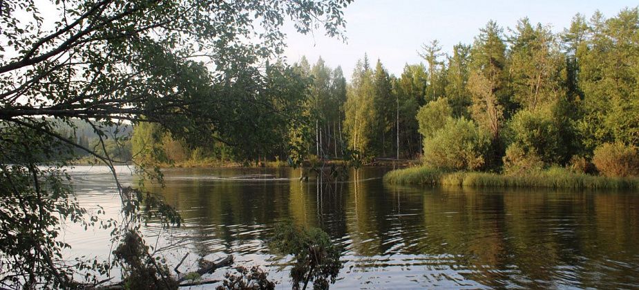 На Андрюшинском яблоку негде упасть, на Сосьве - один рыбачок