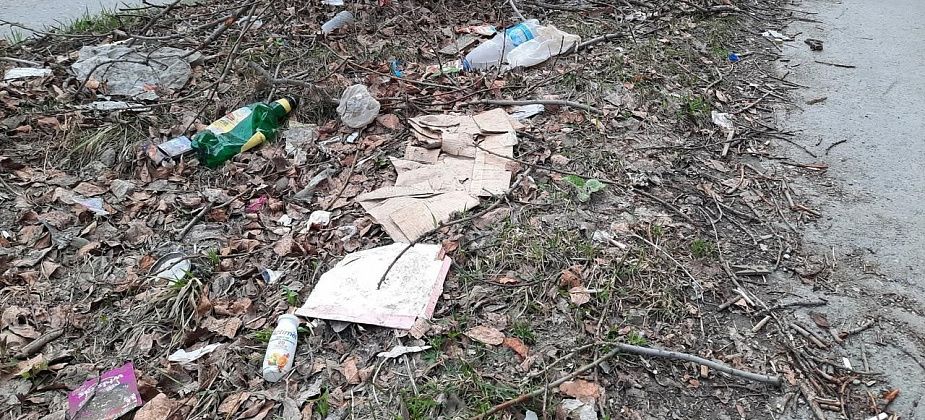 Кидают мусор из окна. Куда жаловаться и что с этим делать?