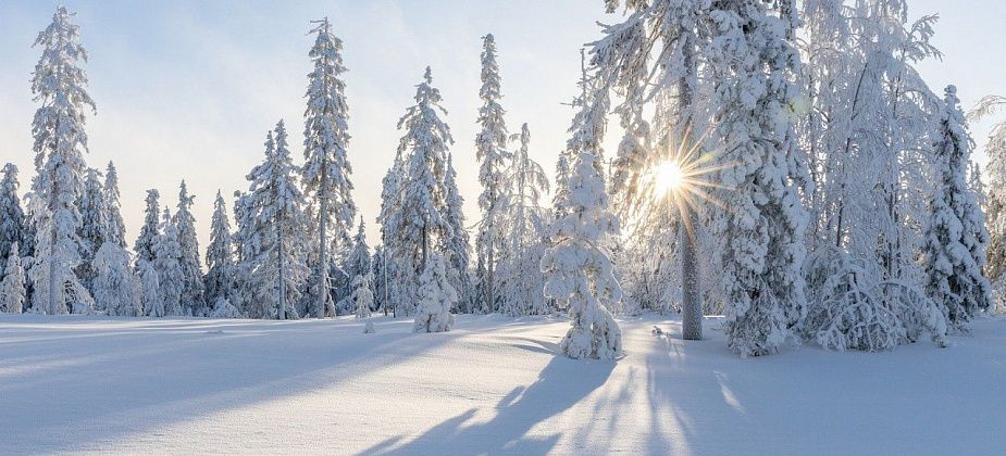 МЧС предупреждает об аномальных морозах в ближайшие дни